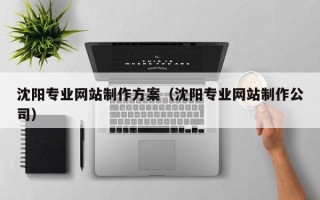 府谷沈阳专业网站制作方案（沈阳专业网站制作公司）